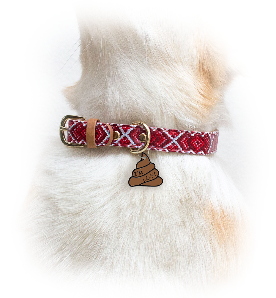 Pet Fetch Poop Emoji Tag - PetfetchID